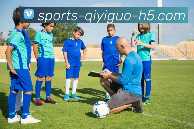 奇异果体育平台生态图